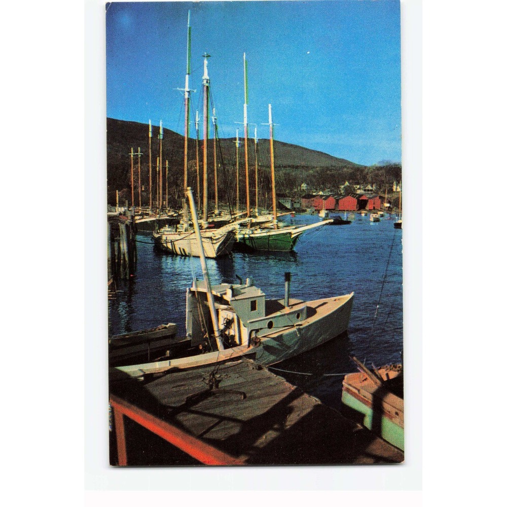 Vintage Maine Windjammer Cruisers Postcard Plastichrome Belfast P2395 Harbor